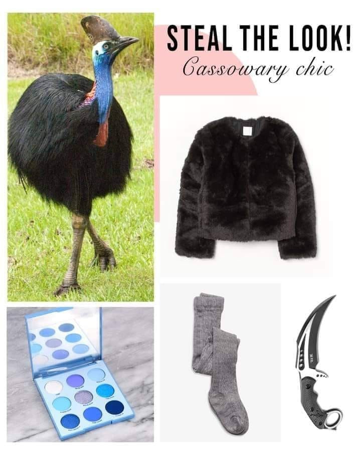 STEAL THE LOOK! Cassowary chic