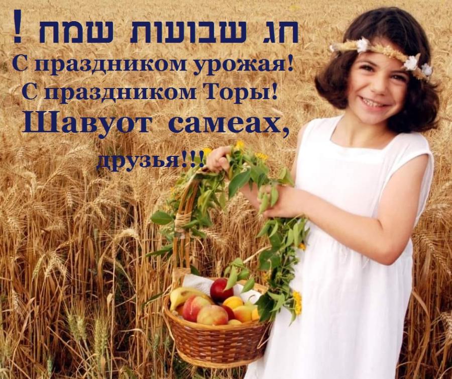С праздником урожая! С праздником Торы! Шавуот самеах, друзья!!!