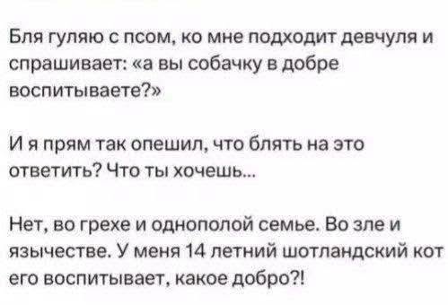 Бля гуляю с псом, ко мне подходит девчуля и спрашивает: «а вы собачку в добре воспитываете?» И я прям так опешил, что блять на это ответить? Что ты хочешь... Нет, во грехе и однополой семье. Во зле и язычестве. У меня 14 летний шотландский кот его воспитывает, какое добро?!