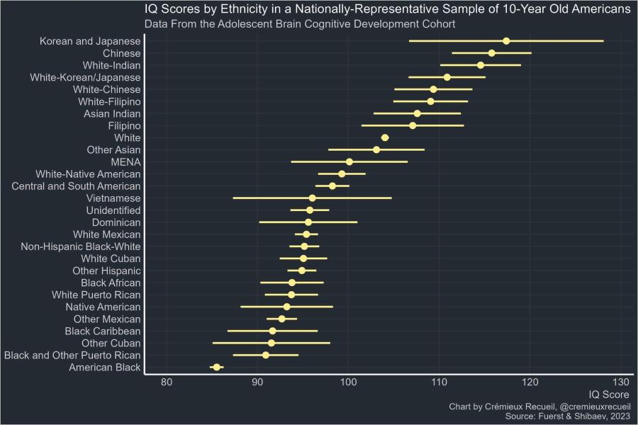 IQ Scores by Ethnicity in a Nationally-Representative Sample of 10-Year Old Americans Data From the Adolescent Brain Cognitive Development Cohort Korean and Japanese Chinese White-Indian White-Korean/Japanese White-Chinese White-Filipino Asian Indian Filipino White Other Asian MENA White-Native American Central and South American Vietnamese Unidentified Dominican White Mexican Non-Hispanic Black-White White Cuban Other Hispanic Black African White Puerto Rican Native American Other Mexican Black Caribbean Other Cuban Black and Other Puerto Rican American Black 80 90 100 110 120 130 IQ Score Chart by Crémieux Recueil, @cremieuxrecueil Source: Fuerst & Shibaev, 2023