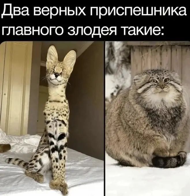 Два верных приспешника главного злодея такие: