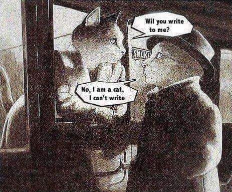Wil you write to me? No, 1 am a cat, I can't write