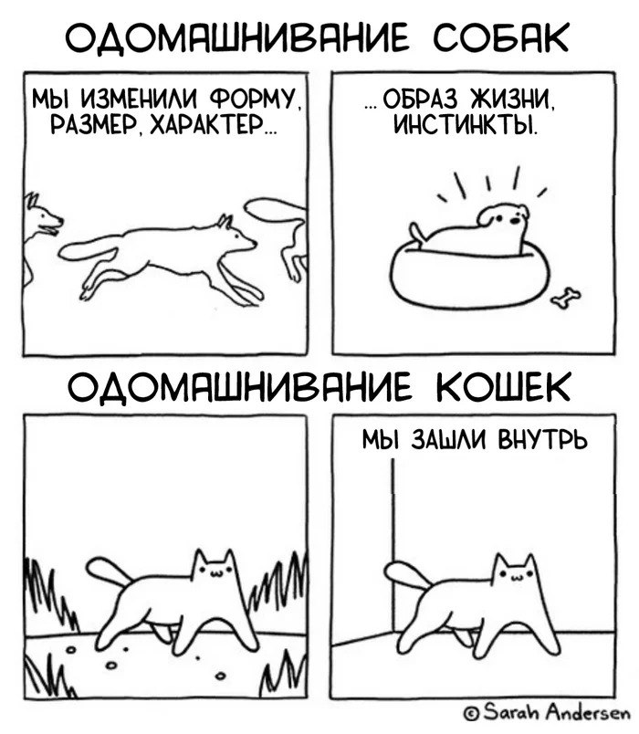 ОДОМАШНИВАНИЕ СОБАК МЫ ИЗМЕНИЛИ ФОРМУ, ОБРАЗ ЖИЗНИ, РАЗМЕР, ХАРАКТЕР... ИНСТИНКТЫ. ОДОМАШНИВАНИЕ КОШЕК МЫ ЗАШЛИ ВНУТРЬ • Sarah Andersen
