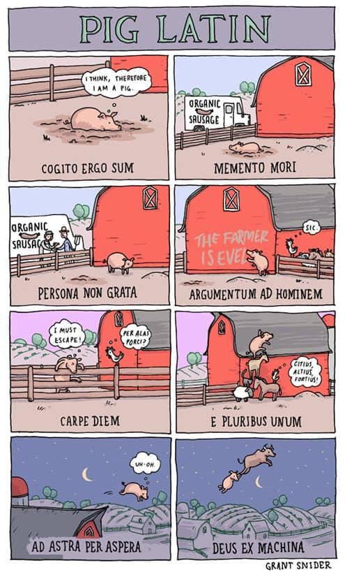PIG LATIN I THINK, THEREFORE IAM A PIG. COGITO ERGO SUM MEMENTO MORI ORGANIC SAUSAC PERSONA NON GRATA THE FARMER IS EVE E ARGUMENTUM AD HOMINEM VER ALAS PORCIO CARPE DIEM E PLURIBUS UNUM AD ASTRA PER ASPERA DEUS EX MACHINA GRANT SNIDER