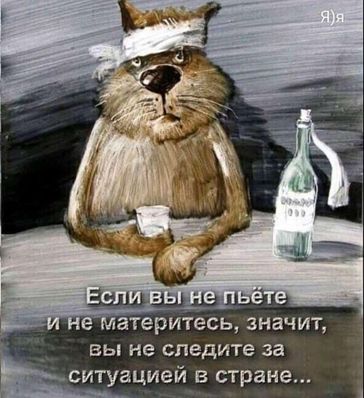 Я) я 1090 Если вы не пьёте и не материтесь, значит, вы не следите за ситуацией в стране...