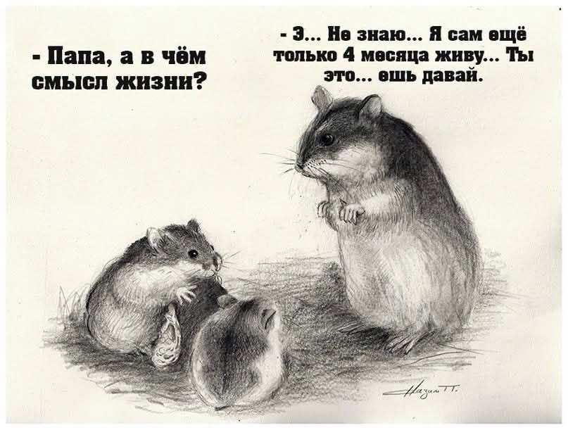 - Папа, а в чём смысл жизни? - 3... Не знаю... Я сам ещё только 4 месяца живу... Ты это... ешь давай. Празим т.