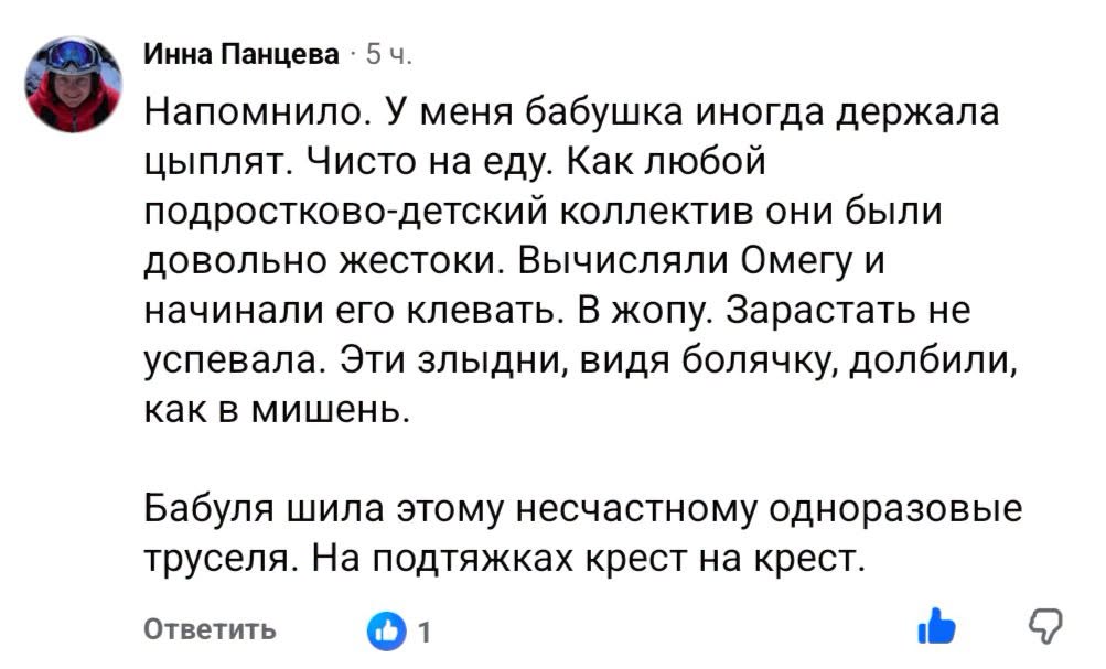 Инна Панцева • 5 ч. Напомнило. У меня бабушка иногда держала цыплят. Чисто на еду. Как любой подростково-детский коллектив они были довольно жестоки. Вычисляли Омегу и начинали его клевать. В жопу. Зарастать не успевала. Эти злыдни, видя болячку, долбили, как в мишень. Бабуля шила этому несчастному одноразовые труселя. На подтяжках крест на крест. Ответить • 1