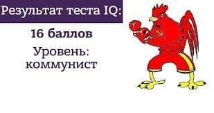 Результат теста IQ: 16 баллов Уровень: коммунист