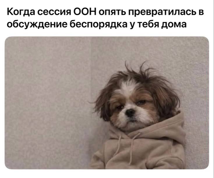 Когда сессия ООН опять превратилась в обсуждение беспорядка у тебя дома