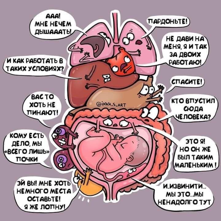 AAA! МНЕ НЕЧЕМ ДЫШАААТЬ! И КАК РАБОТАТЬ В ТАКИХ УСЛОВИЯХ? ВАСТО ХОТЬ НЕ ПИНАЮТ! КОМУ ЕСТЬ ДЕЛО, МЫ «ВСЕГО ЛИШЬ» ПОЧКИ ЭЙ ВЫ! МНЕ ХОТЬ НЕМНОГО МЕСТА ОСТАВЬТЕ! Я ЖЕ ЛОПНУ! @iNNA.S_ART ПАРДОНЬТЕ! НЕ ДАВИ НА МЕНЯ, Я И ТАК ЗА ДВОИХ РАБОТАЮ! СПАСИТЕ! КТО ВПУСТИЛ СЮДА ЧЕЛОВЕКА? ЭТО Я! НО ОН ЖЕ БЫЛ ТАКИМ МАЛЕНЬКИМ ! и.извинити... мы это..мы НЕНАДОЛГО ТУТ