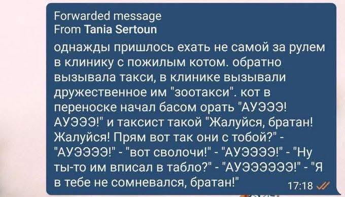 Forwarded message From Tania Sertoun однажды пришлось ехать не самой за рулем в клинику с пожилым котом. обратно вызывала такси, в клинике вызывали дружественное им "зоотакси". кот в переноске начал басом орать "АУЭЭЭ! АУЭЭЭ" и таксист такой "Жалуйся, братан! Жалуйся! Прям вот так они с тобой?" - ты-то им вписал в табло?" - "АУЭЭЭЭЭЭ!"- "Я в тебе не сомневался, братан!" 17:18 //