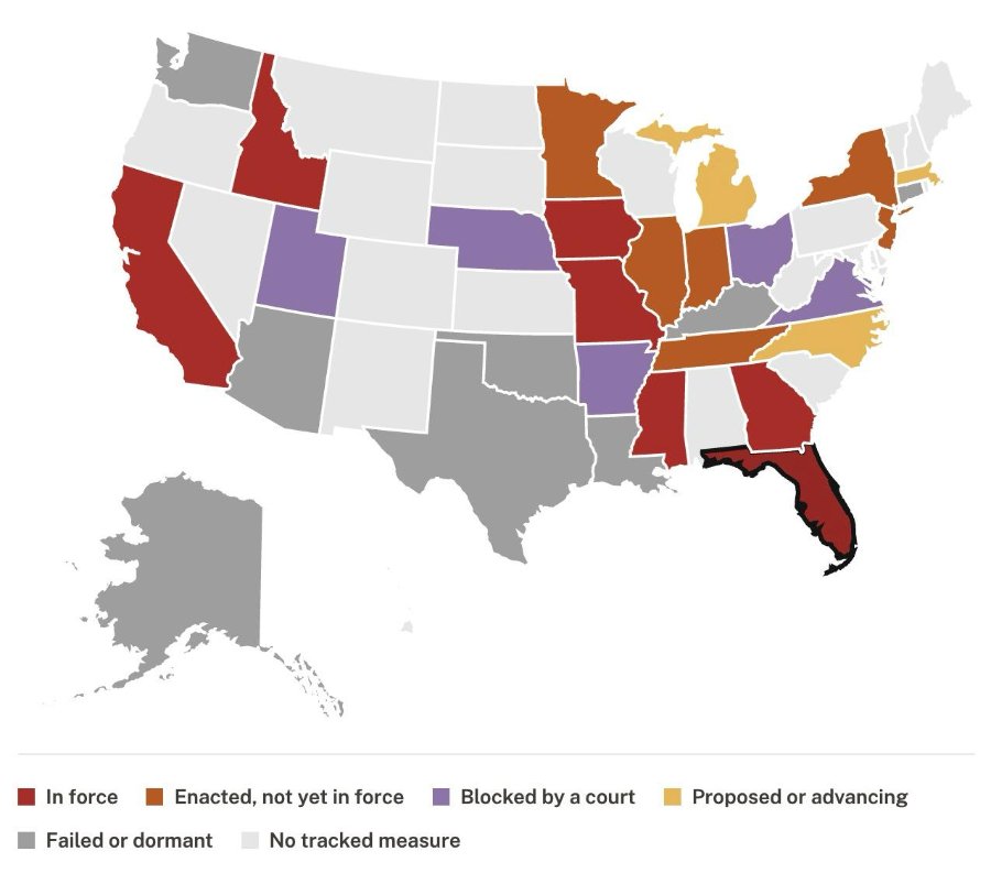 In force Enacted, not yet in force Failed or dormant No tracked measure | Blocked by a court • Proposed or advancing